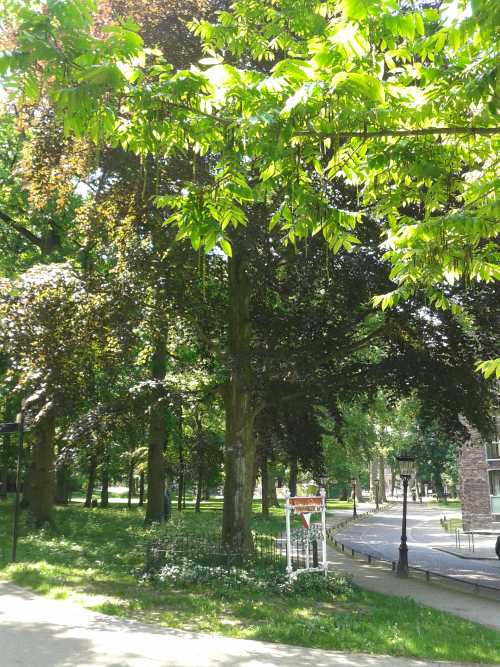 Bevrijdingsboom Utrecht #3