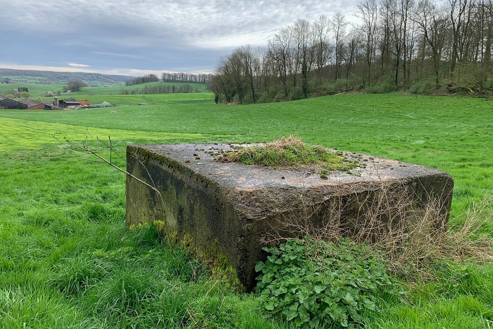 Bunker A - Advanced Position Beusdael #3
