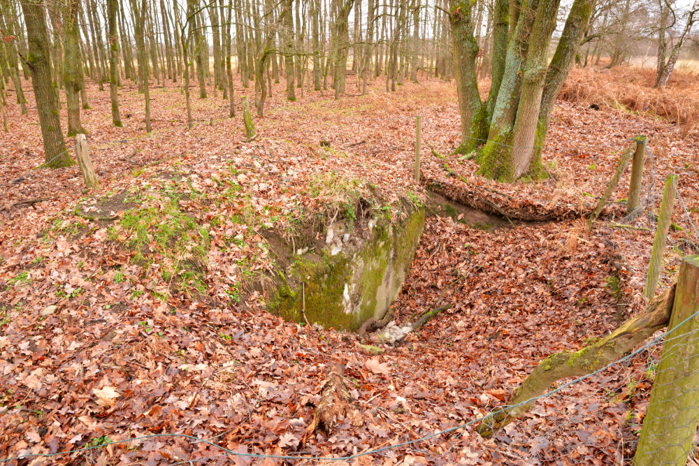 Ringstand 217 Niederkrchten