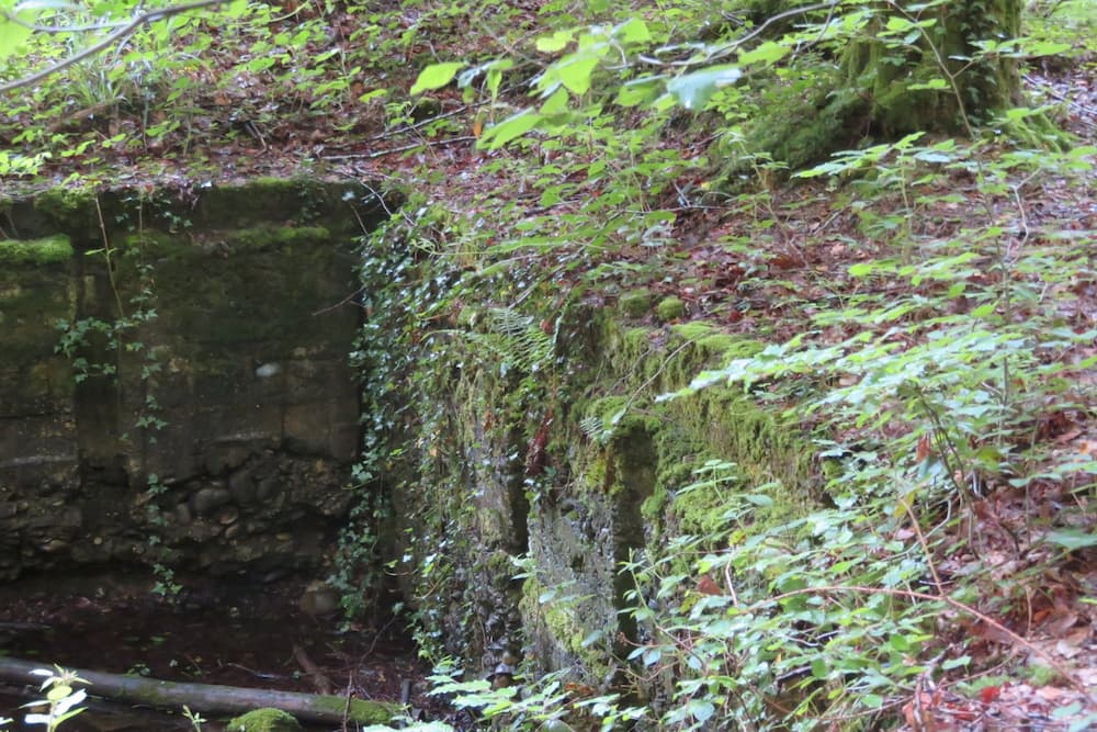 Duitse Bunker Mooslargue #4
