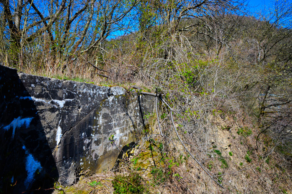 Bunker 309 Westwall Kermeter #5