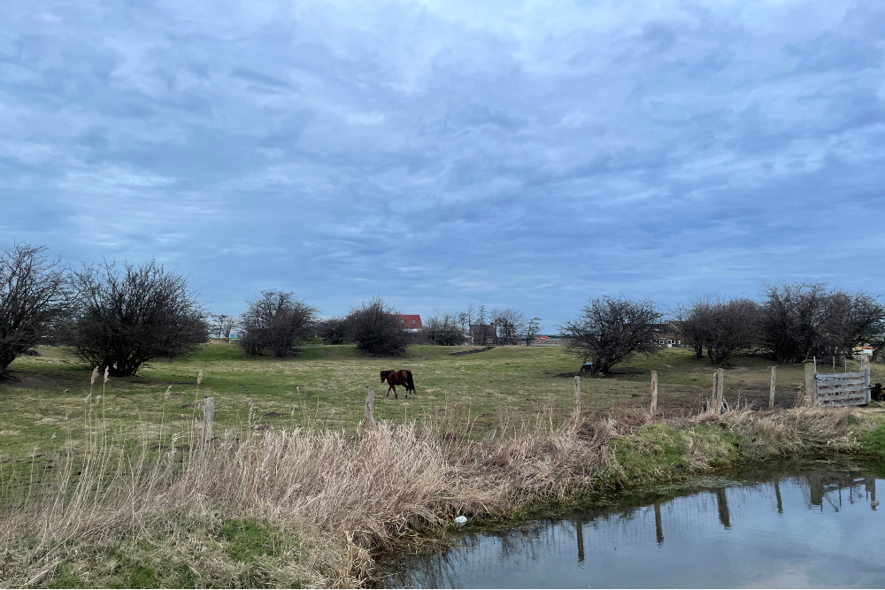 Linie van Beverwijk - Lunet 11