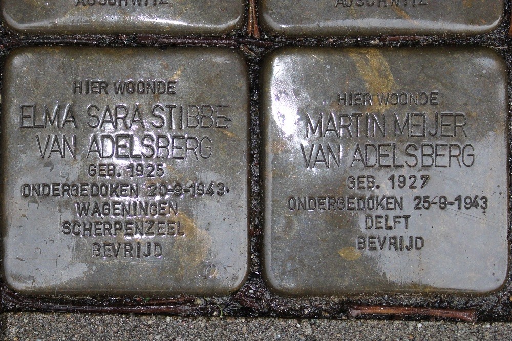 Stolpersteine Ruyschstraat 27 #3