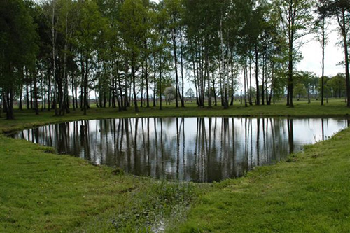 Ashes Pond Auschwitz
