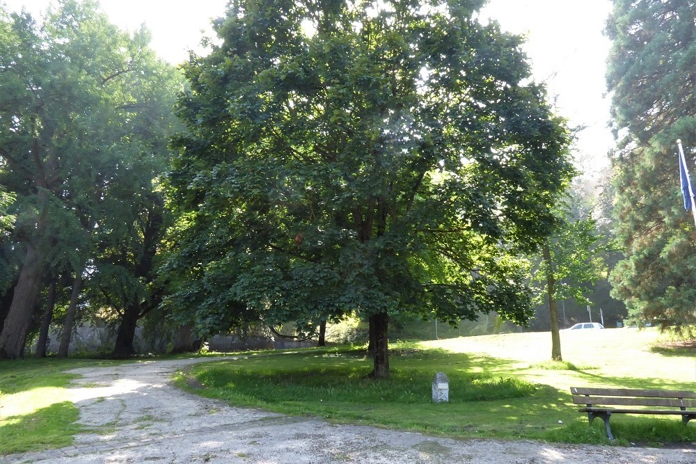 Memorial tree 50 years of liberation of the camps Namen #1