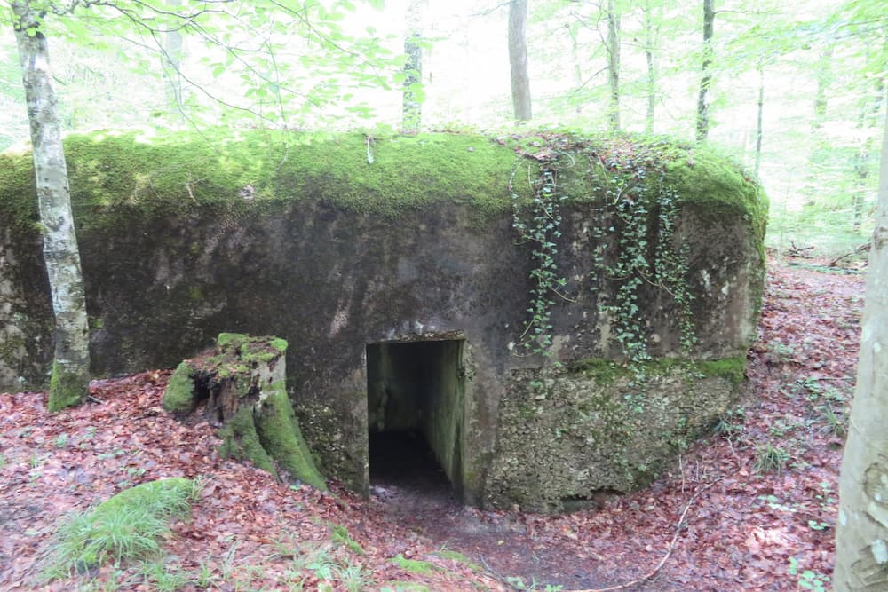 Villa Agathe Pfetterhouse #3