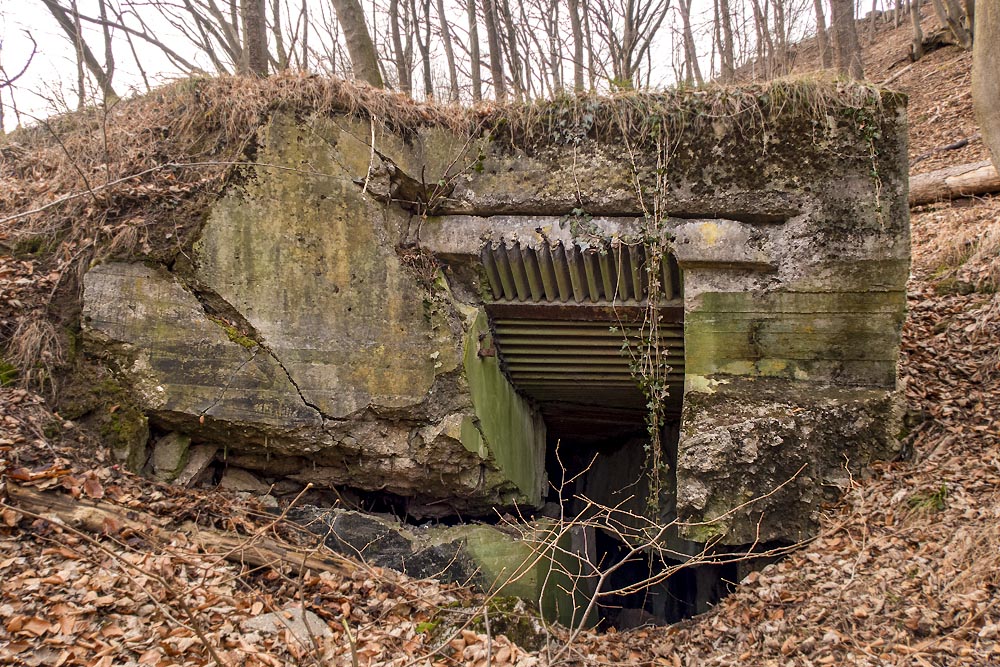 Westwall Bunker Stolberg #3