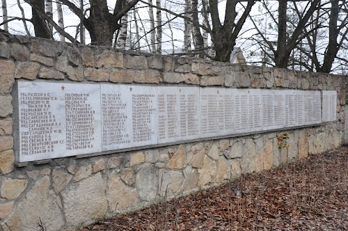 Soviet War Cemetery Stopini #3