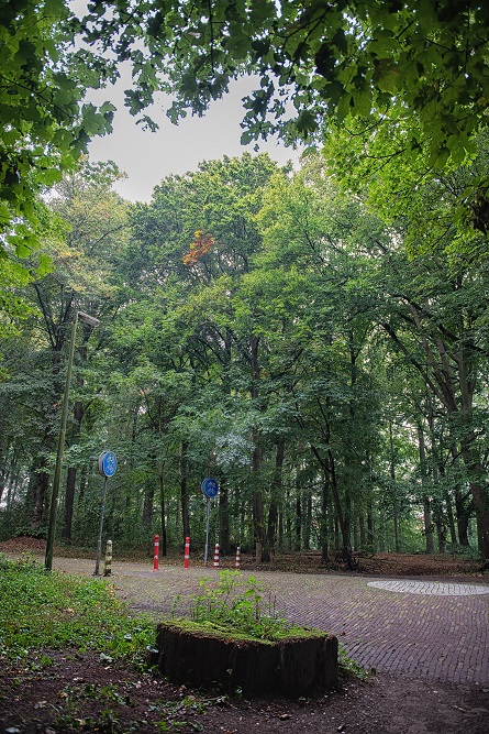 Former V-2 Launch Site Haagse Bos #2