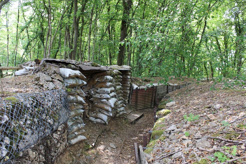 Former Battlefield Bois Brulé #2