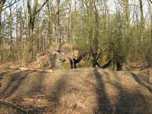 Stalin Line - Remains Casemate No. 451