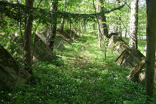 H-linie - Tankversperringen Norra Djurgården #2