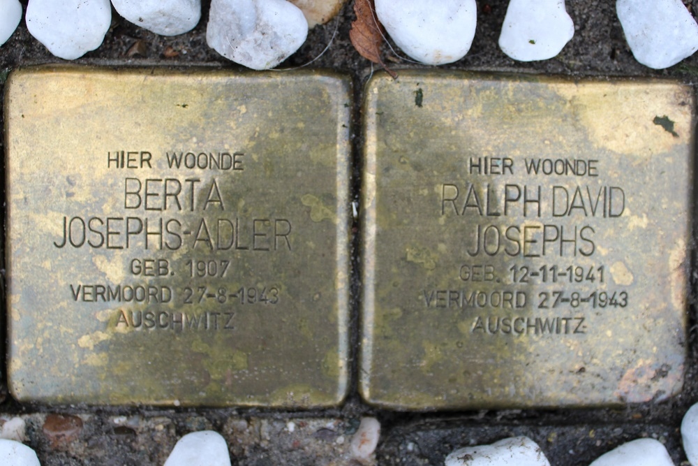 Stolpersteine Dokter Welfferweg 4 #3