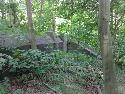 German Hospital Bunker (118a Sanittsunterstand) Slotbos Haamstede #1