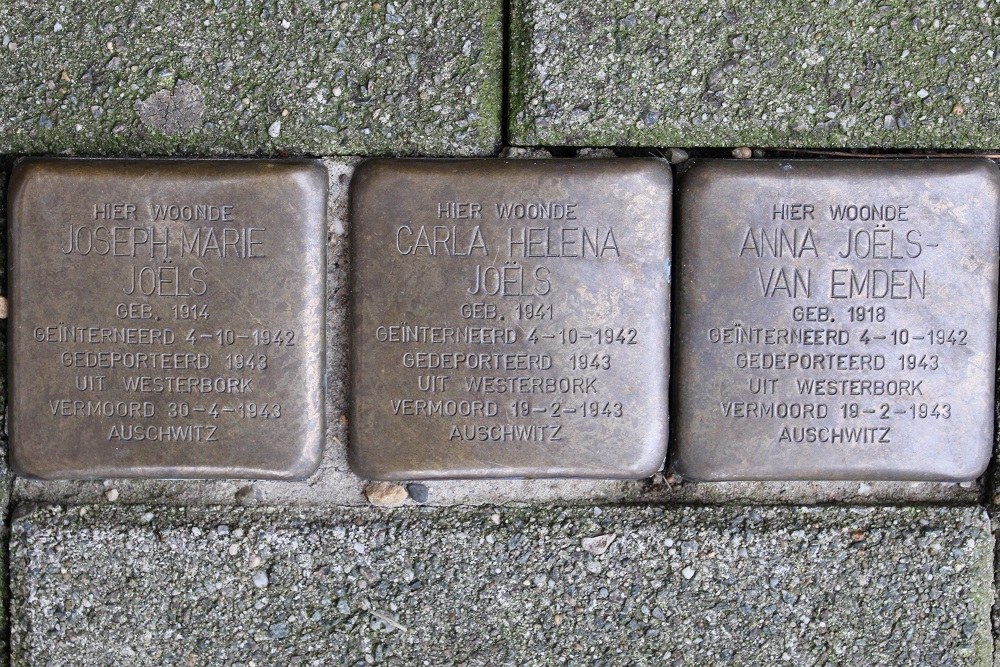 Stolpersteine President Steynplantsoen 15 #1