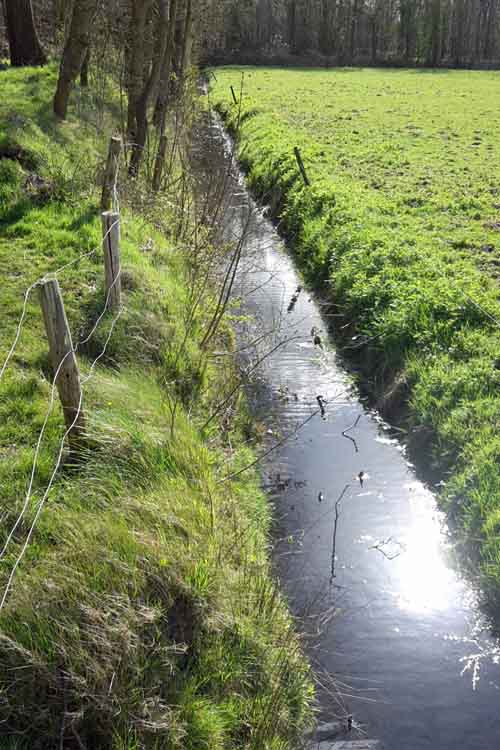 Slit trenches and Anti Tank Ditch Heiloo Woods #3