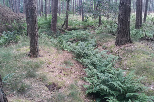 Trenches German Ammunition Storage Buildings (M.A.St.)