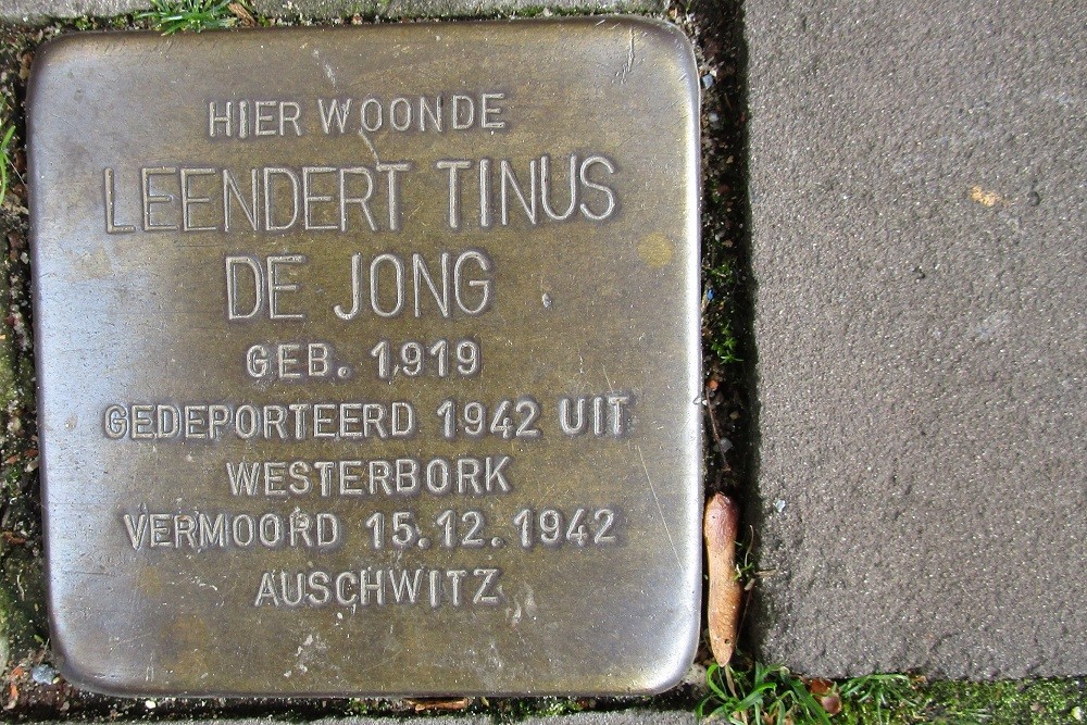 Stolpersteine Maliesingel 36 #3