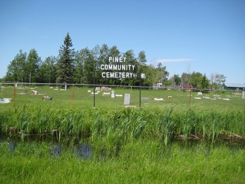 Oorlogsgraf van het Gemenebest Piney Cemetery