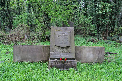 Jewish Cemetery Czestochowa #3