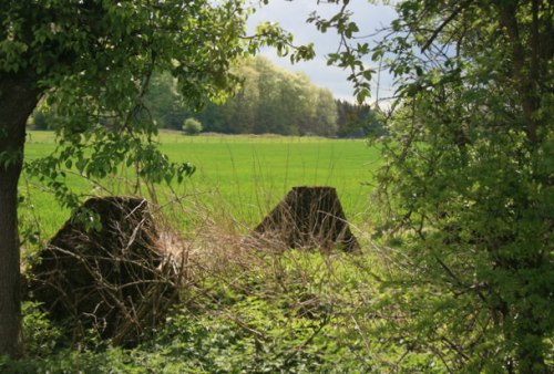 Westwall - Tank Barrier Orsbach #1