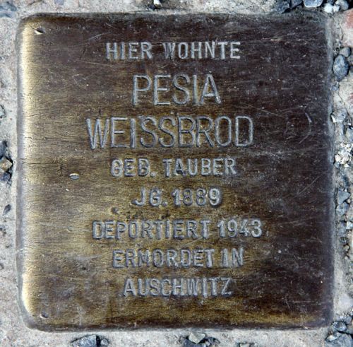 Stumbling Stones Hirschberger Straße 2 #3
