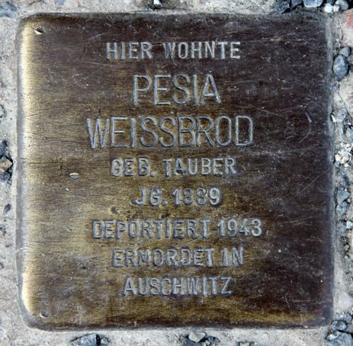 Stolpersteine Hirschberger Strae 2 #3