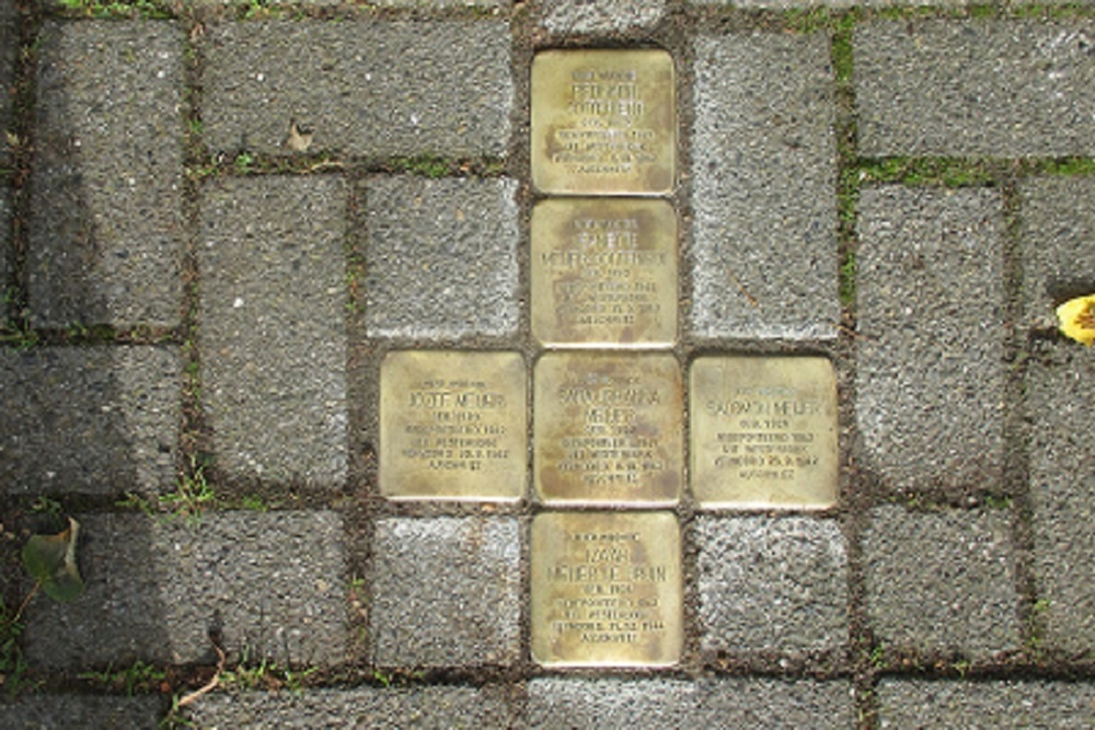 Stolpersteine Bonnen 7 #1