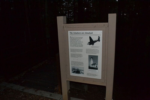 Brookings Japanese Aerial Bombardment Site #3