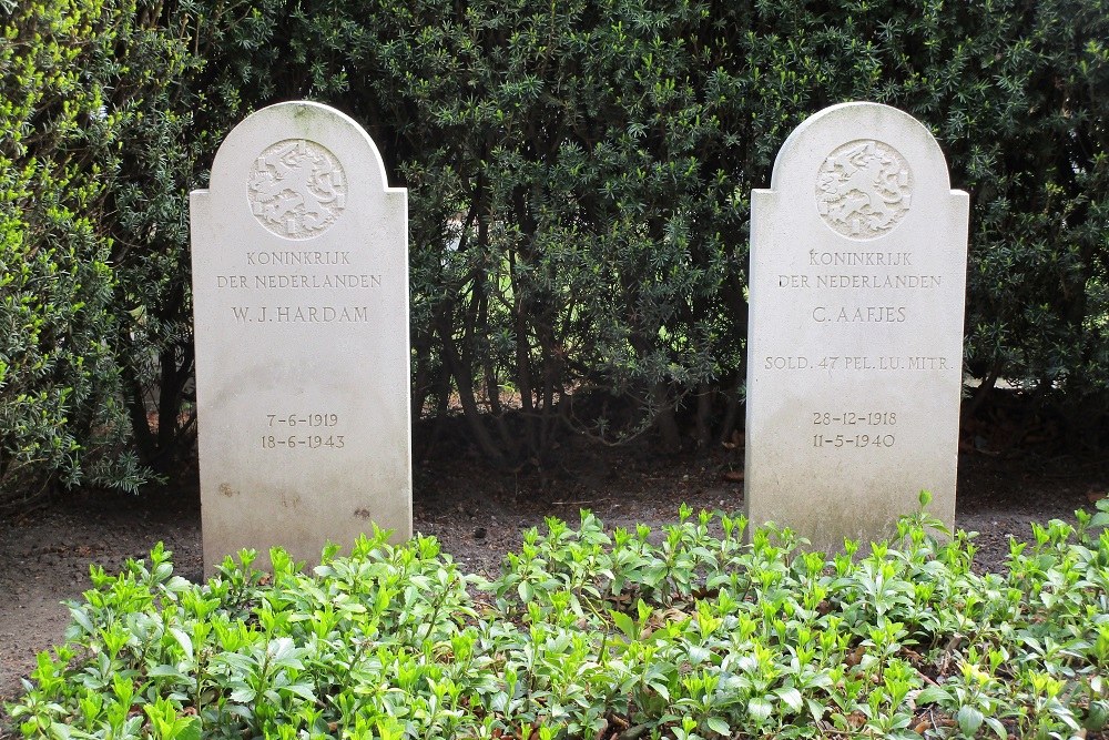 Dutch War Graves General Cemetery Alblasserdam #3