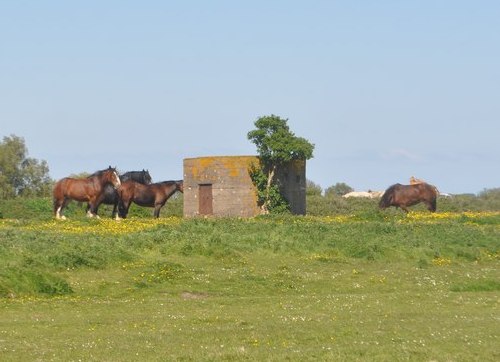 Pillbox FW3/22 Great Yarmouth