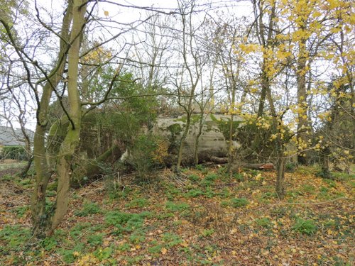 Bunker 6 Stützpunkt Brünhild 'Park Toorenvliedt' #3