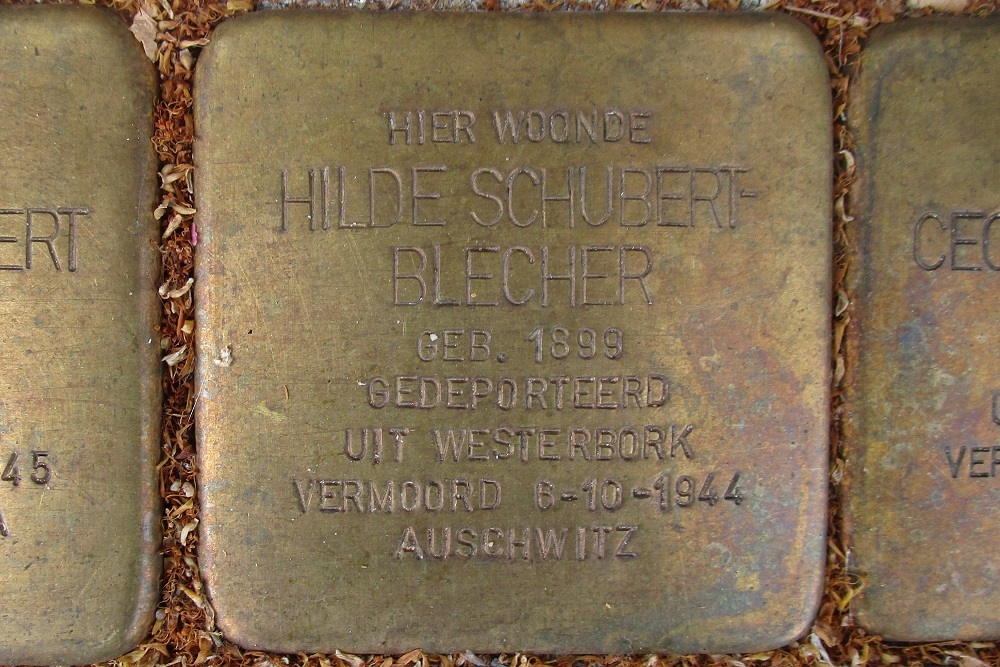 Stolpersteine Waalstraat 53-I #3