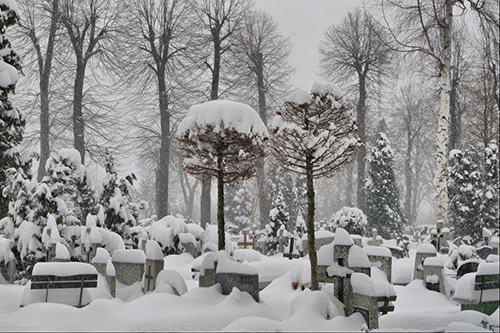 Polish War Graves #1