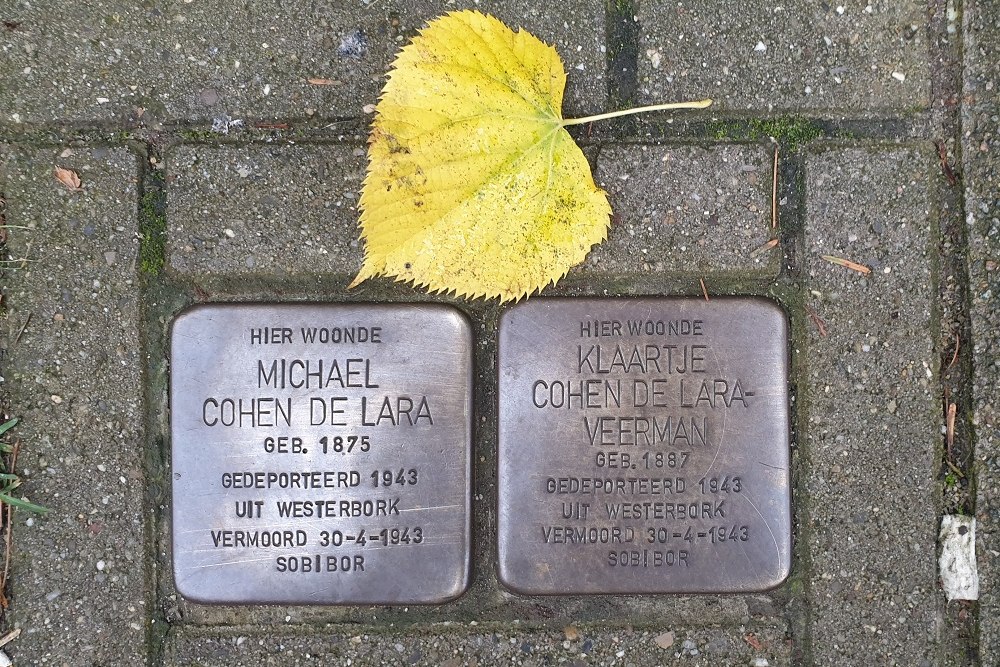 Stolpersteine Plantage Parklaan 2-huis