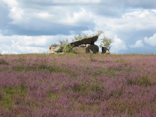 Stalin Line - Remains Casemate