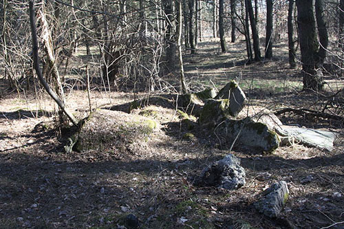 Fortress Brest - Remains Fort 