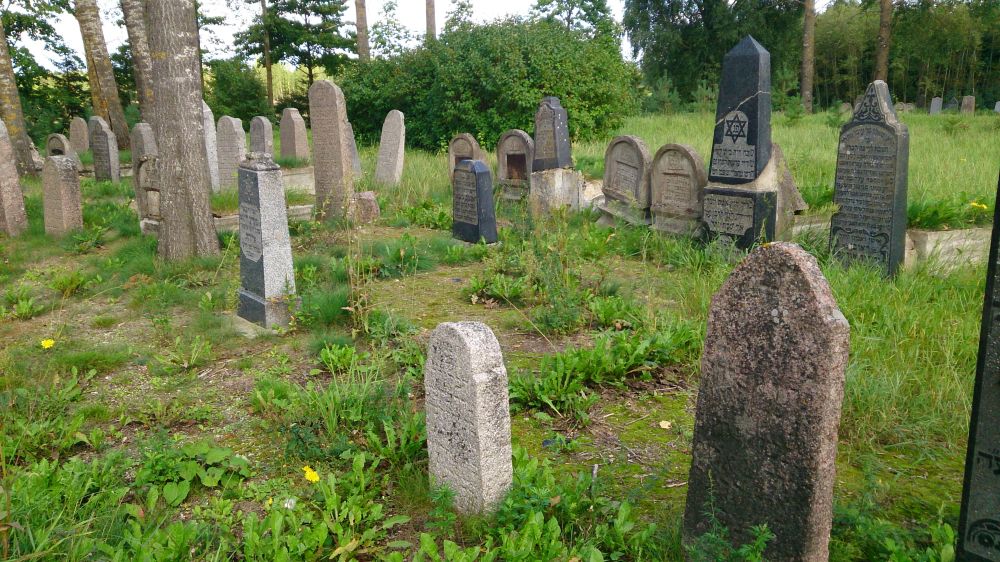 Jewish Cemetery Karsava #4