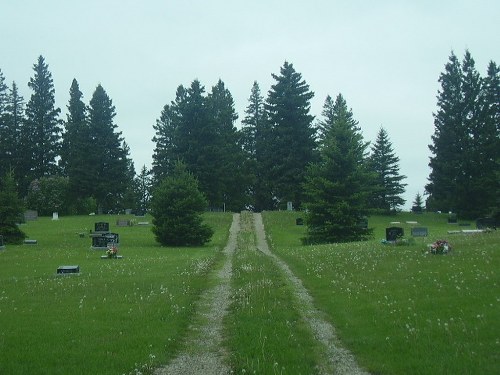 Commonwealth War Grave Alexander Cemetery #1