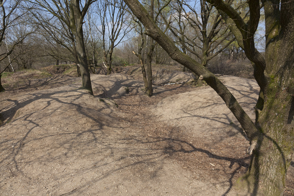 Training Ground Dutch Army Ede #5