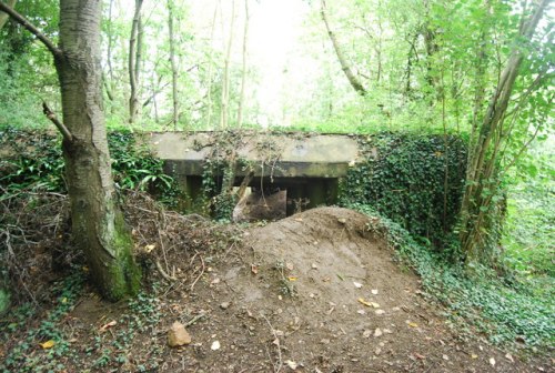 Machinegeweerbunker Allington #1