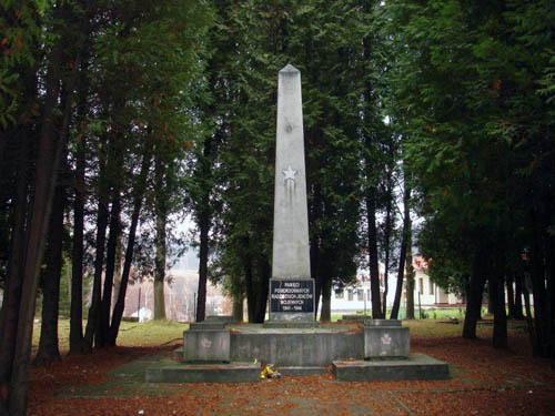 Soviet War Cemetery Olchowce (Sanok) #2