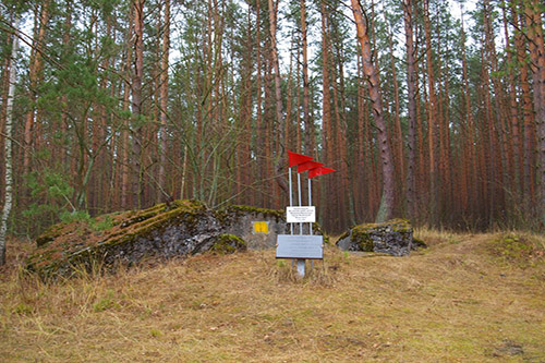 Stalinlinie - Restant Bunker Nr. 582