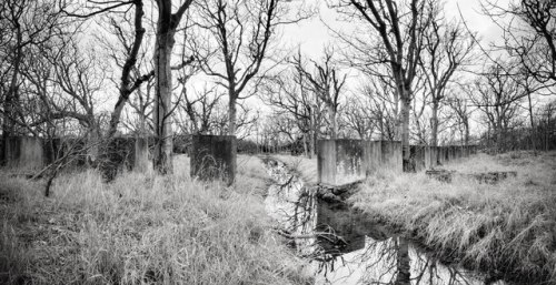 Tankversperring Aberlady