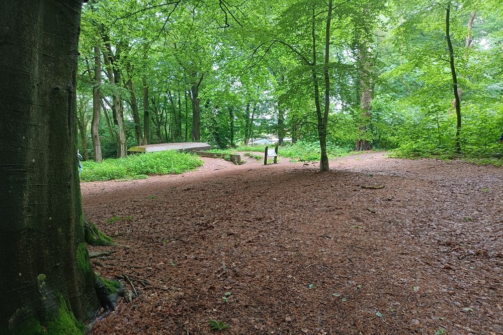 Grebbe Line - Trench 