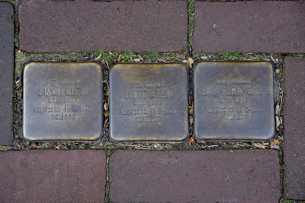 Stolpersteine Fortuinstraat 2 #1