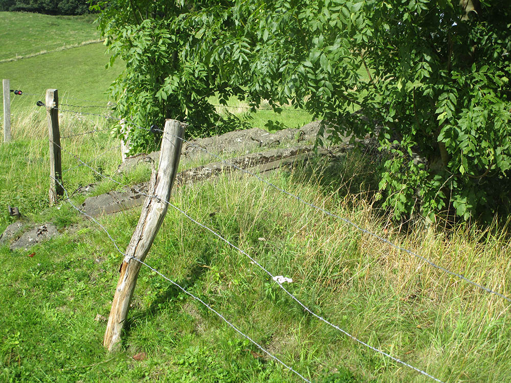 Westwall - Remains Bunker #3