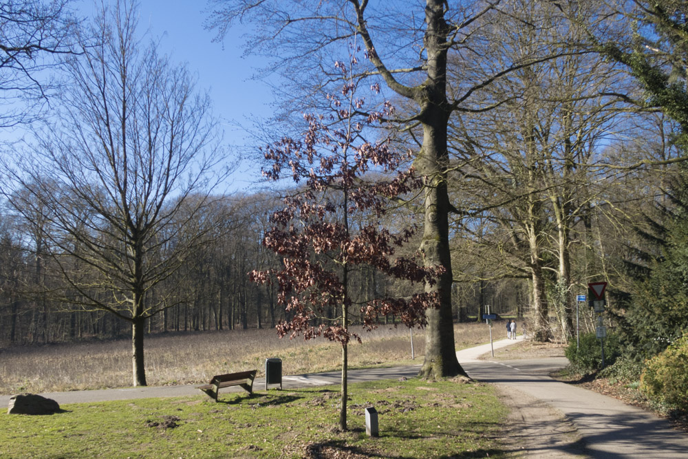 Herdenkingsboom Oosterbeek #1