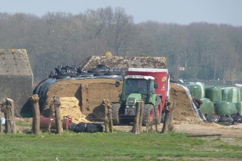 Groepsschuilplaats Type P Noordpolderkade #1