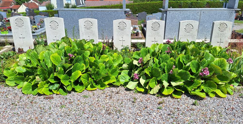 Oorlogsgraven van het Gemenebest Ailly-sur-Somme #3